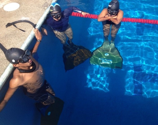  freediving courses 